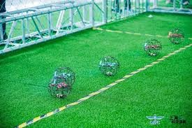 霸凌 樊振东德国杯夺冠被弗朗西斯卡撒彩带 一边摘彩带一边哭笑不得